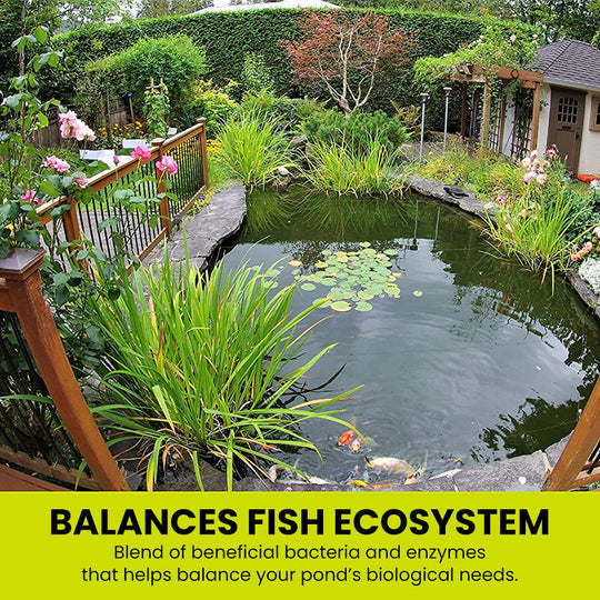 🔥Hot Selling💝Fish Tank Water Purifier Algae Remover