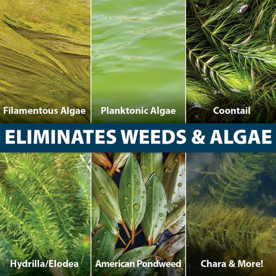 🔥Hot Selling💝Fish Tank Water Purifier Algae Remover