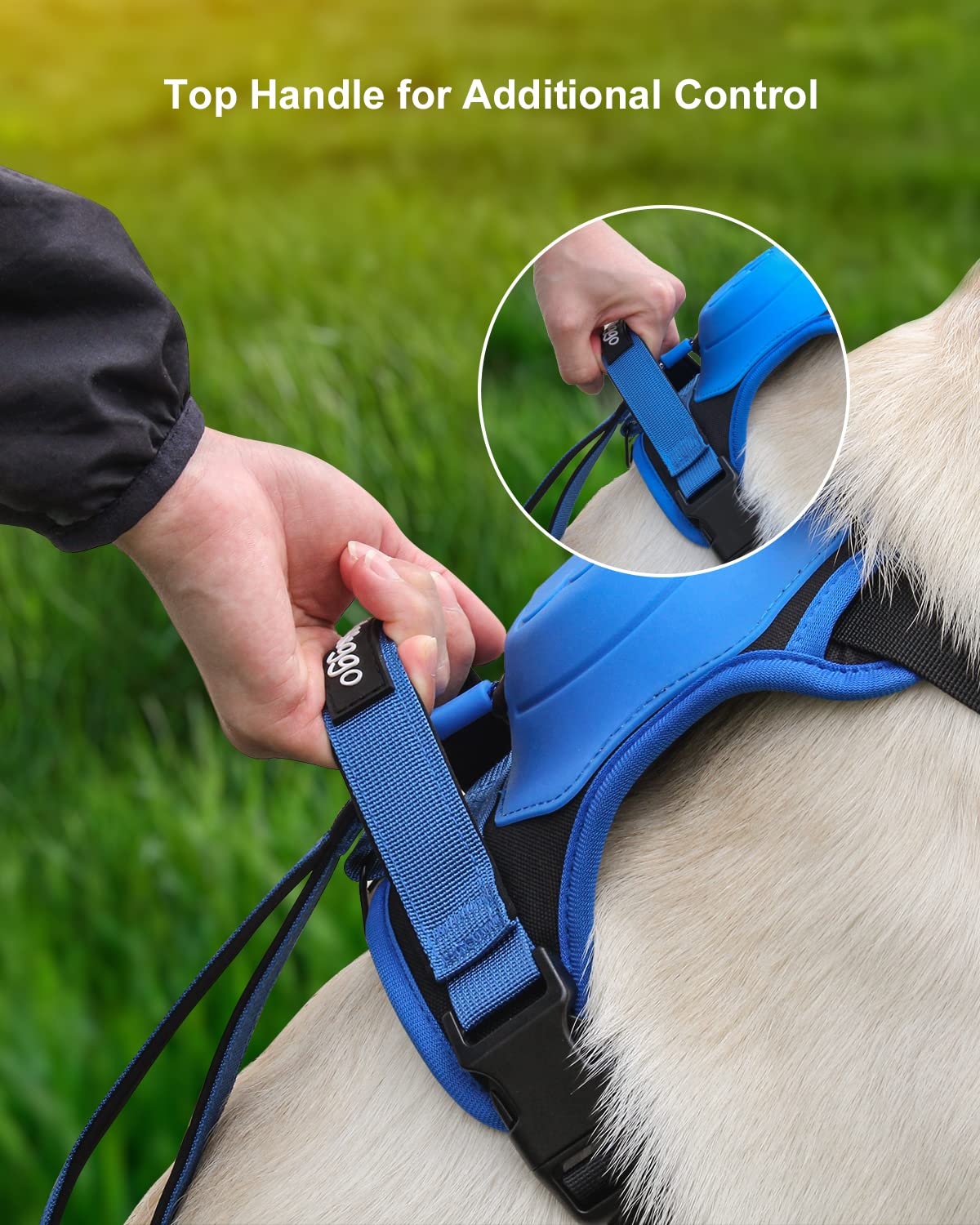 🎁Hot Sale 48% OFF⏳Dog Harness and Retractable Leash Set All-in-One