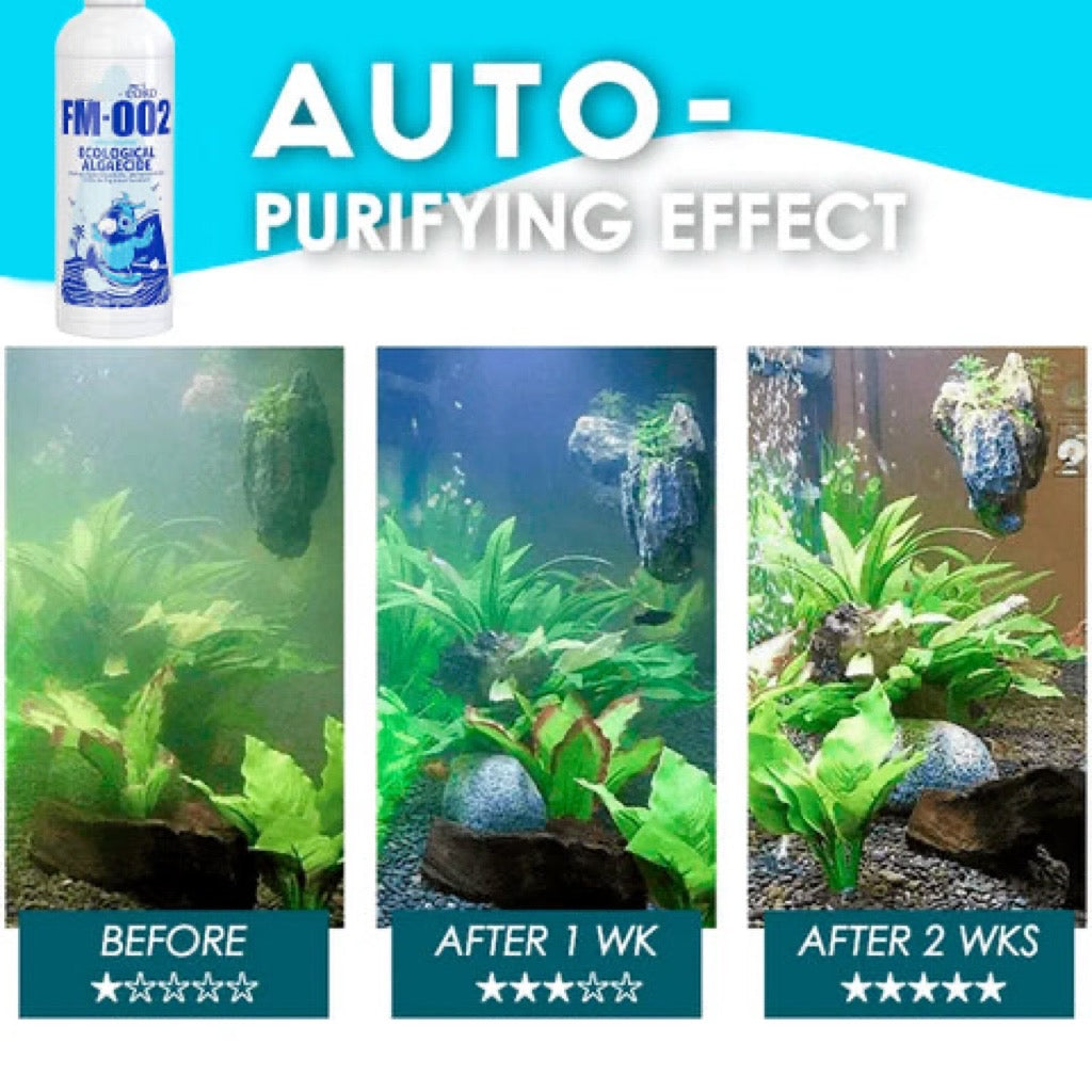 🔥Hot Selling💝Fish Tank Water Purifier Algae Remover