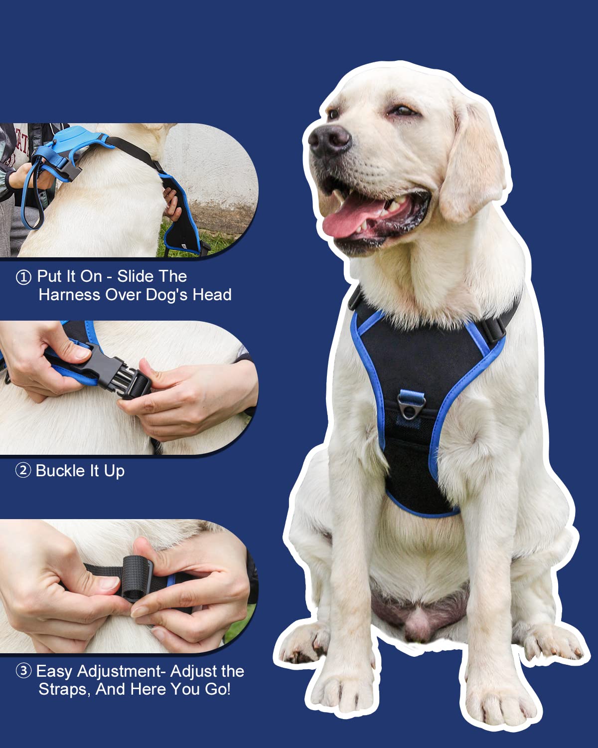 🎁Hot Sale 48% OFF⏳Dog Harness and Retractable Leash Set All-in-One