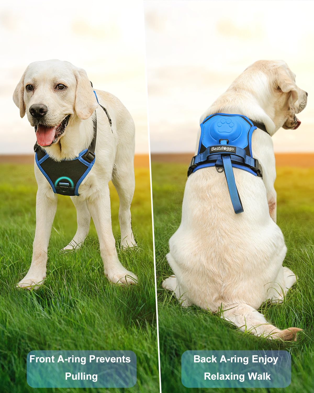 🎁Hot Sale 48% OFF⏳Dog Harness and Retractable Leash Set All-in-One