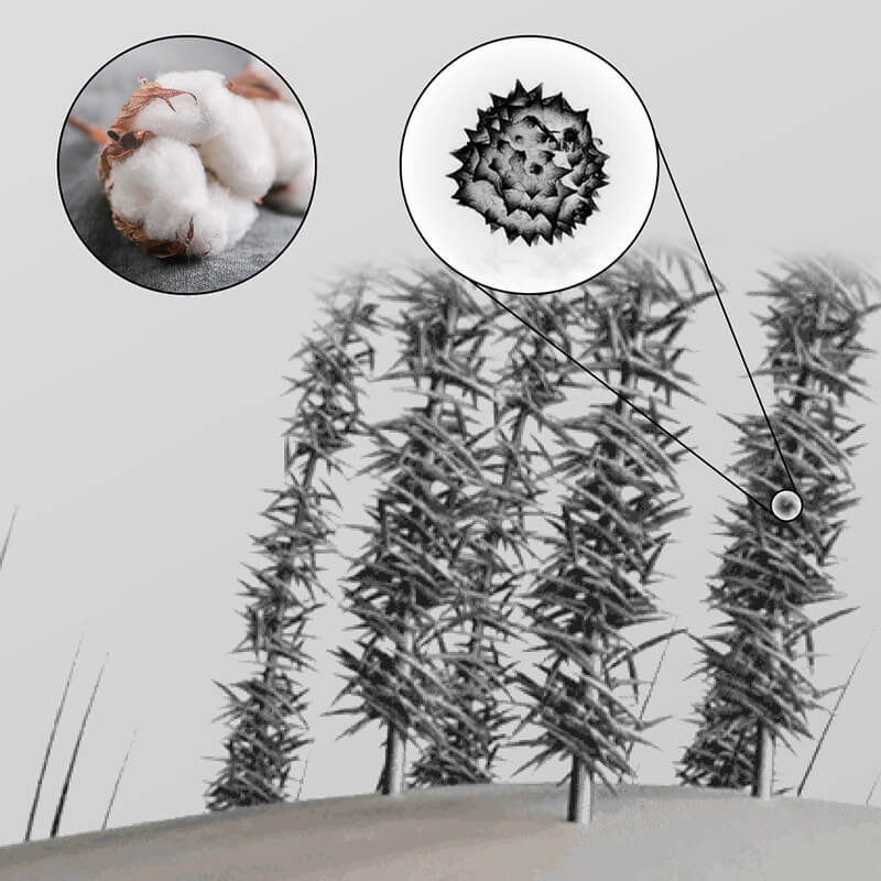 🔥Limited time 50% off sale🔥Hair Thickening Hair Building Fiber Powder