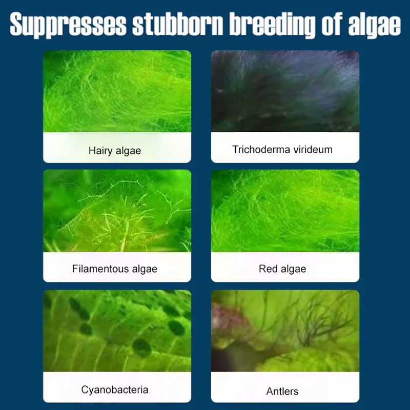 🔥Hot Selling💝Fish Tank Water Purifier Algae Remover