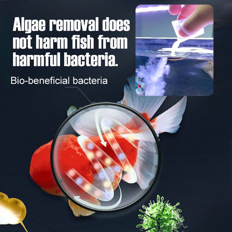 🔥Hot Selling💝Fish Tank Water Purifier Algae Remover
