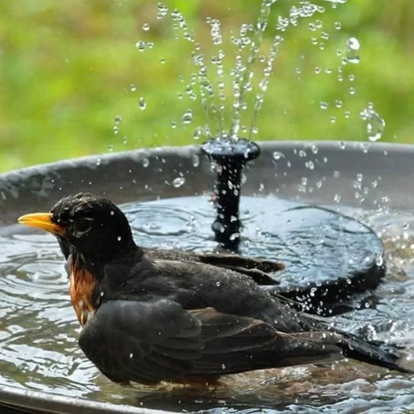 ✨Last Day 50% OFF✨Solar Powered Fountain