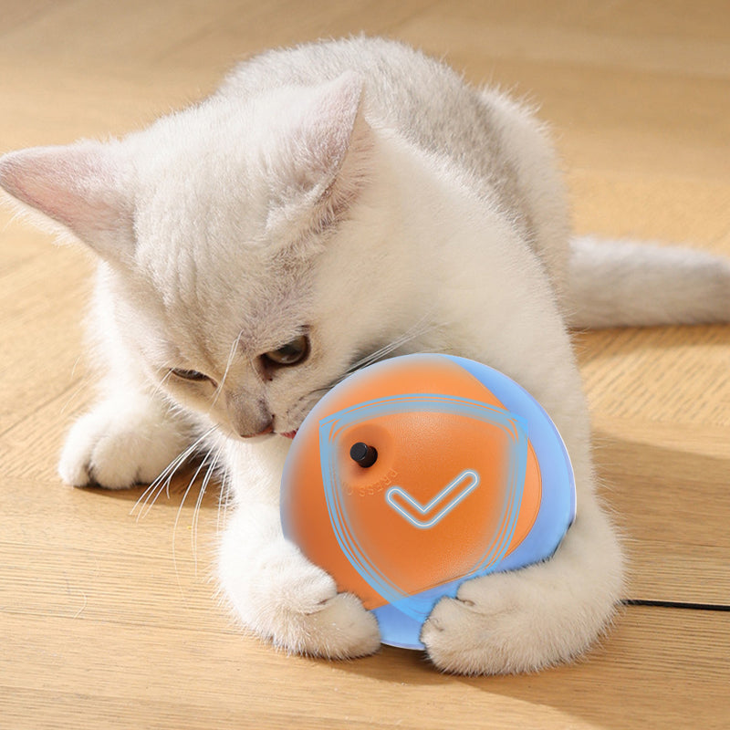 🐱🐶Self-Rolling Cat Entertainment Toy✨