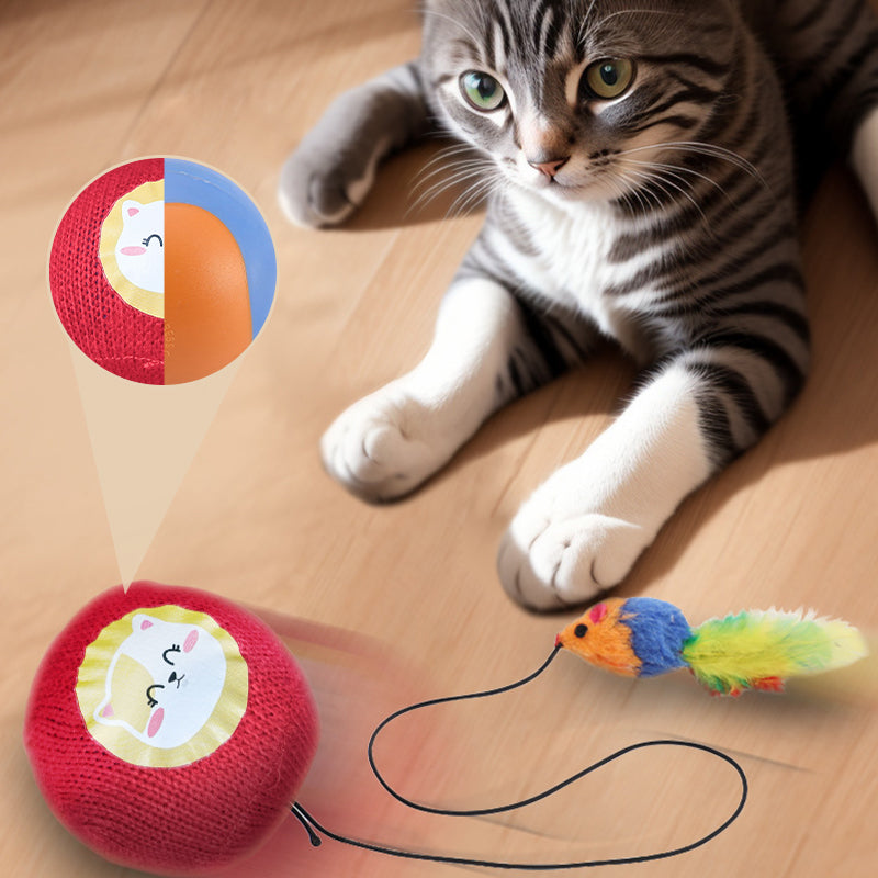 🐱🐶Self-Rolling Cat Entertainment Toy✨