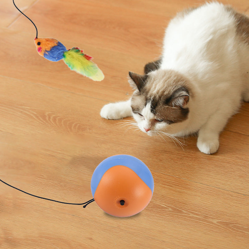 🐱🐶Self-Rolling Cat Entertainment Toy✨