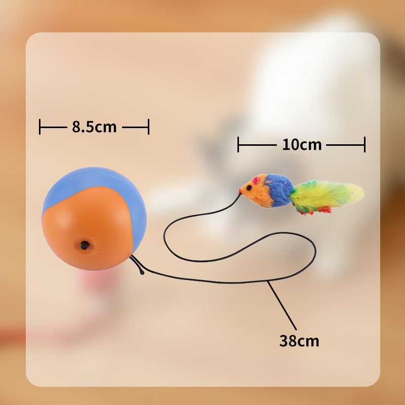 🐱🐶Self-Rolling Cat Entertainment Toy✨