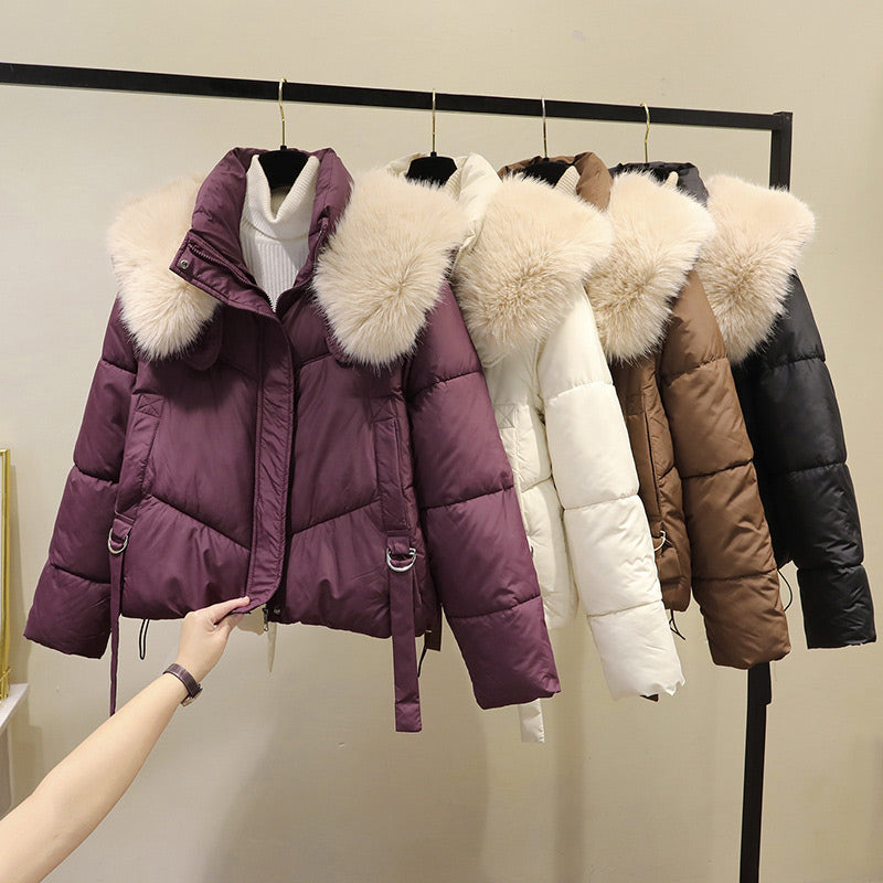 Women's Warm Full-Zip Short Jacket with Puffy Collar