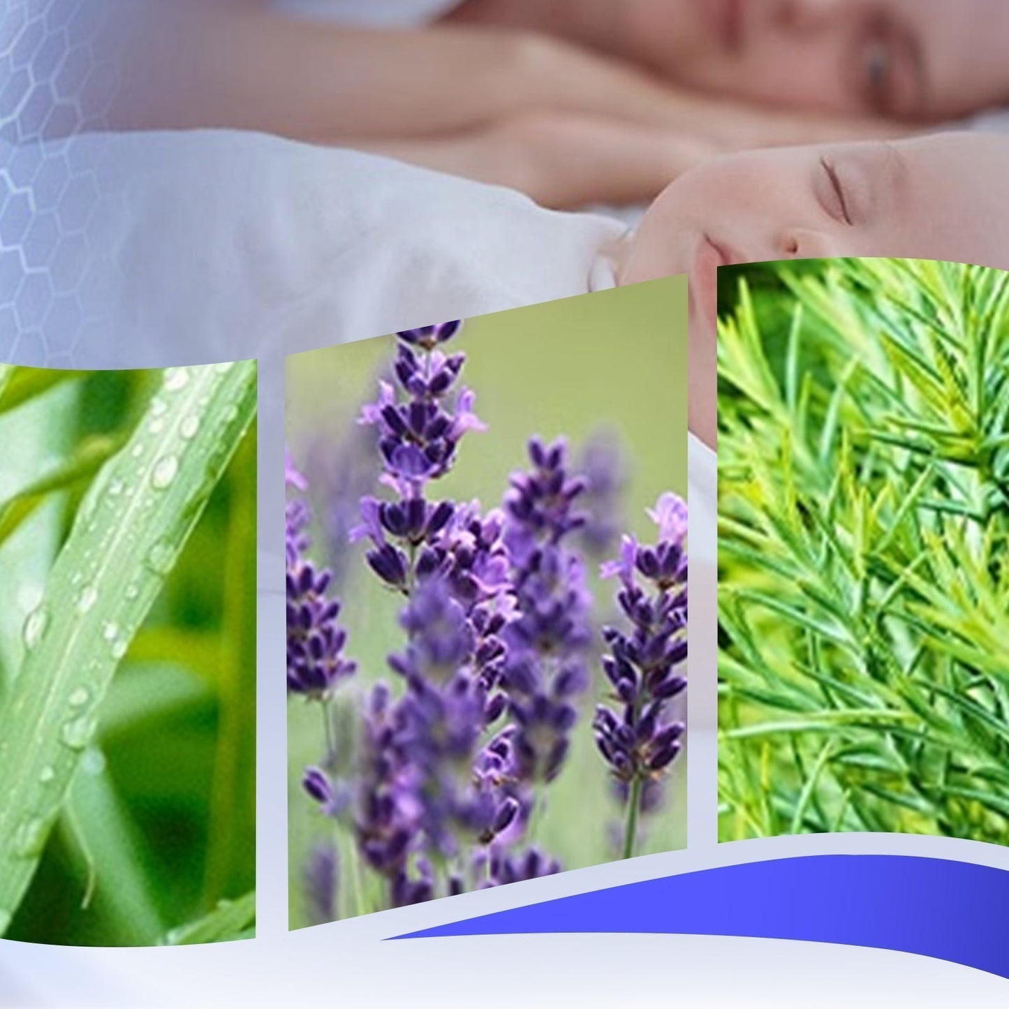 Mosquito Repellent Cream with Essential Plant Oil
