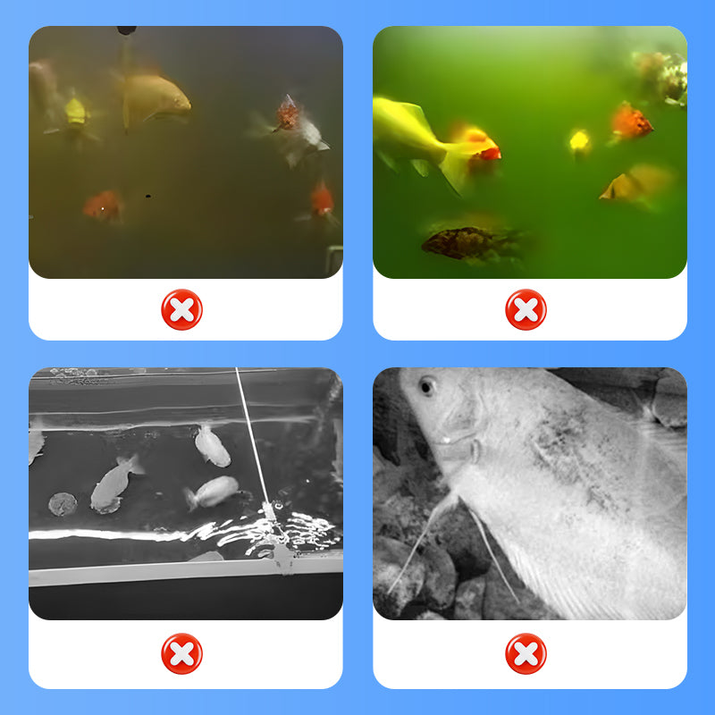 🐠 Half Price for a Limited Time - Quiet, Powerful Aquarium Air Pump with Dual Mode