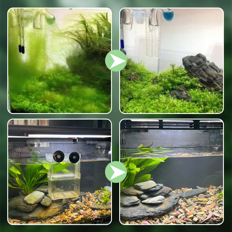 🐟Aquarium surface skimmer:✨no more oil film/biofilm/protein