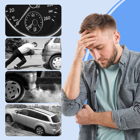 PEA & PIBA Fuel System Cleaner