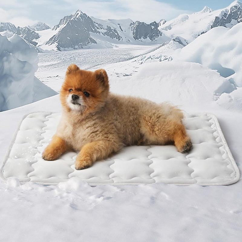 Cooling Comfort Mat for Pets