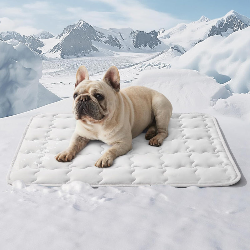 Cooling Comfort Mat for Pets