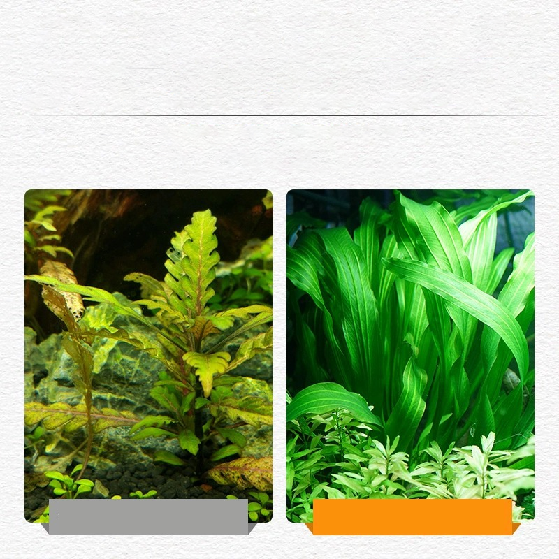 Flourish Aquarium Plant Fertilizer