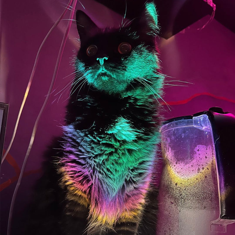 Sunset projection under-cabinet lights🔥🔥