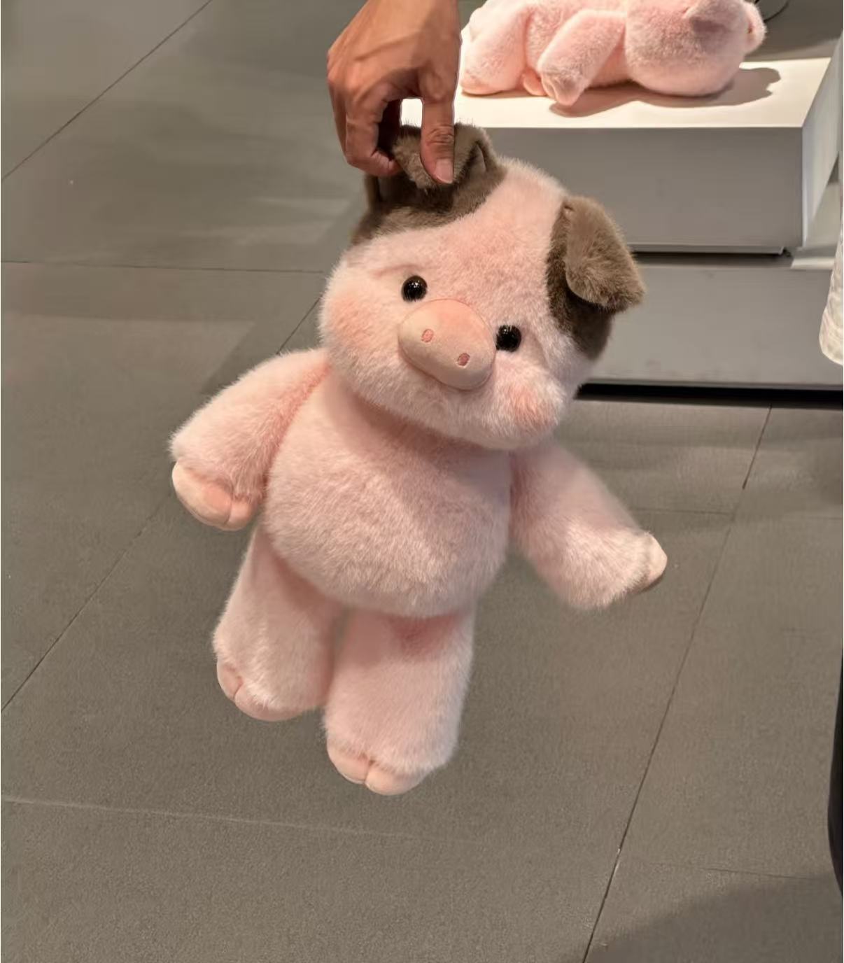 💞50K+ SOLD! 🔥🔥50% OFF!🎁🎁Adorable & Furry Highland Cattle Soft Toy