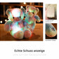 ⏳Limited-time 50% off⏰Teddy bear, colourful LED light, soft toys🌈🧸