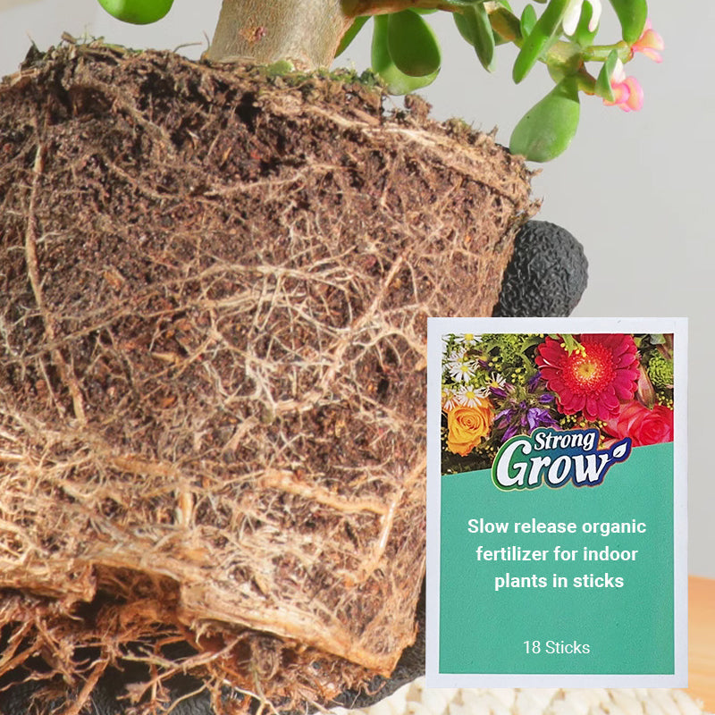 73%OFF💥 Plant slow-release stick organic fertilizer