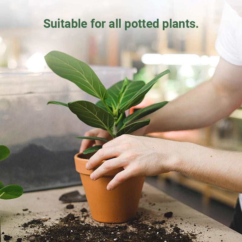 73%OFF💥 Plant slow-release stick organic fertilizer