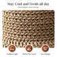 🔥 Hot sale 49% OFF🔥Elegant Woven Straw Sun Hat with Bow