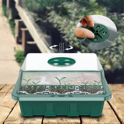 Seed Starter Trays with Grow Light