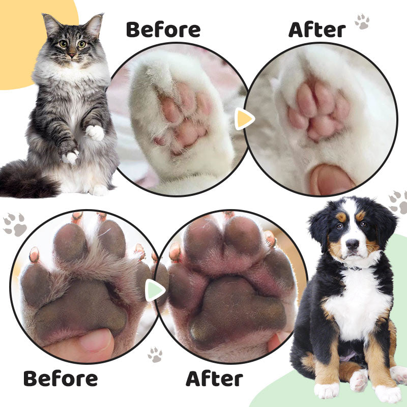 🐶Hot Sale🐾Low-Noise Pet Paw Trimmer with LED Light🐾Free Shipping