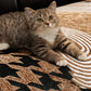 Special-shaped Non-slip Light Luxury Sofa Cover