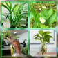 Multi-use Plant Hydroponic Transparent Clamp Basket