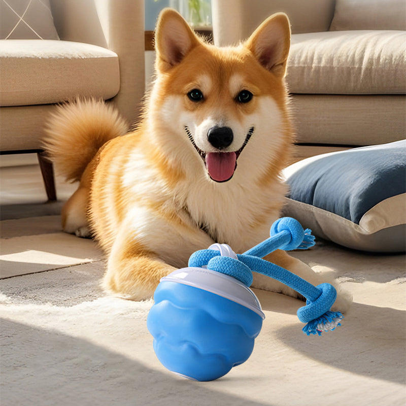 🎁Meet Christmas 50% OFF🎄Interactive Electronic Pet Soothing Toy Ball