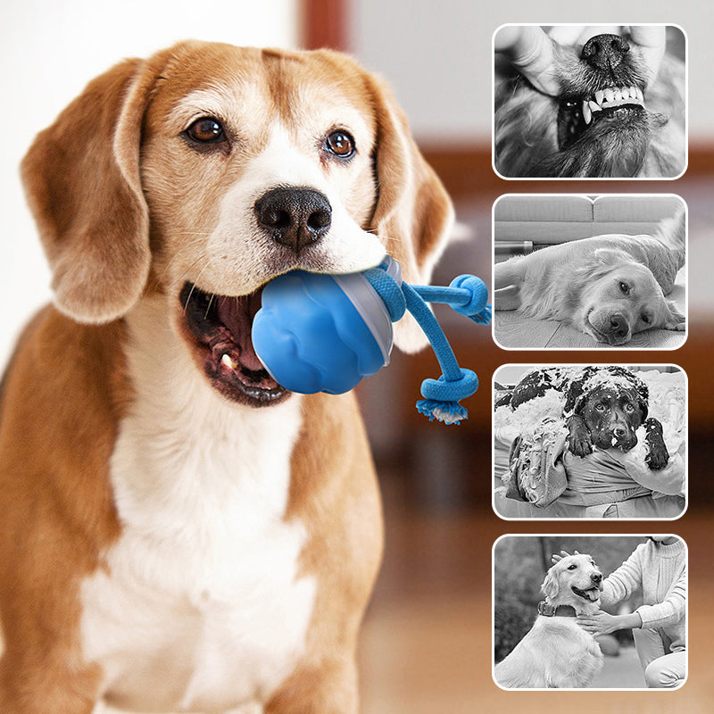 Interactive Electronic Pet Soothing Toy Ball