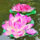 Floating Artificial Simulation Water Lily for Home Garden Ponds Decoration