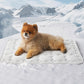 Cooling Comfort Mat for Pets