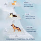 Cooling Comfort Mat for Pets