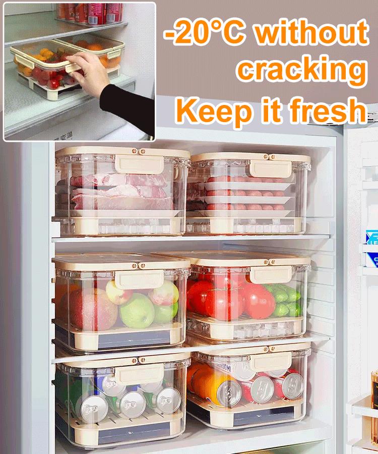 ✨Hot Sale 50% OFF✨Portable crisper🍱