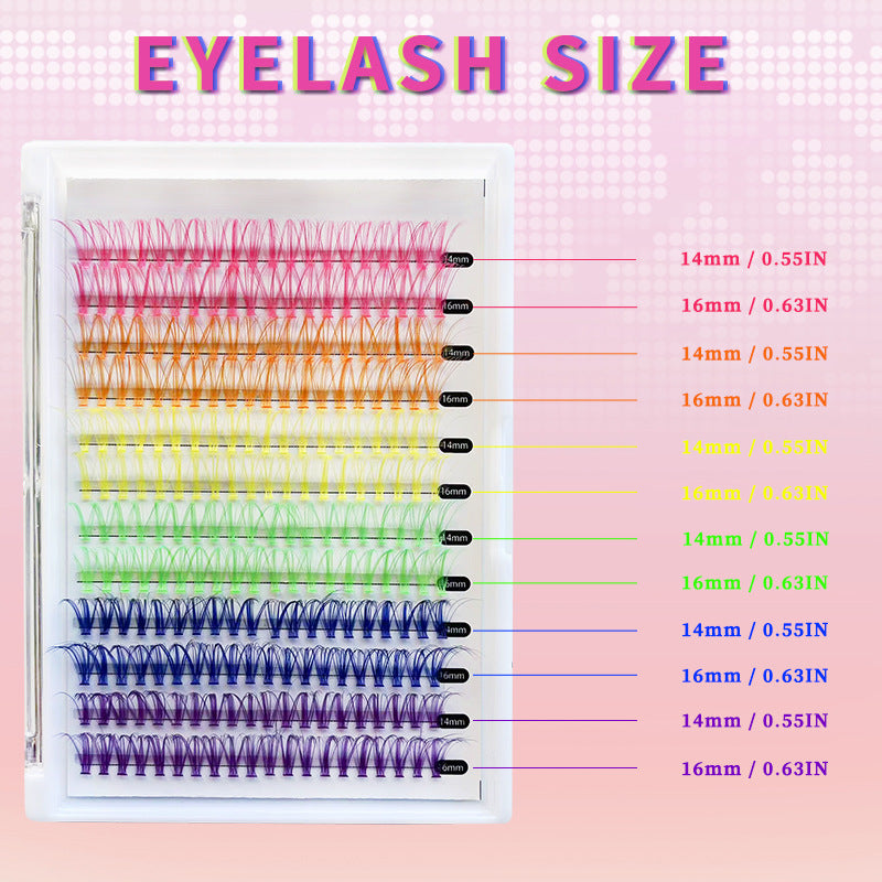 240 PCS Colored Lash Cluster with Glue & Tweezers