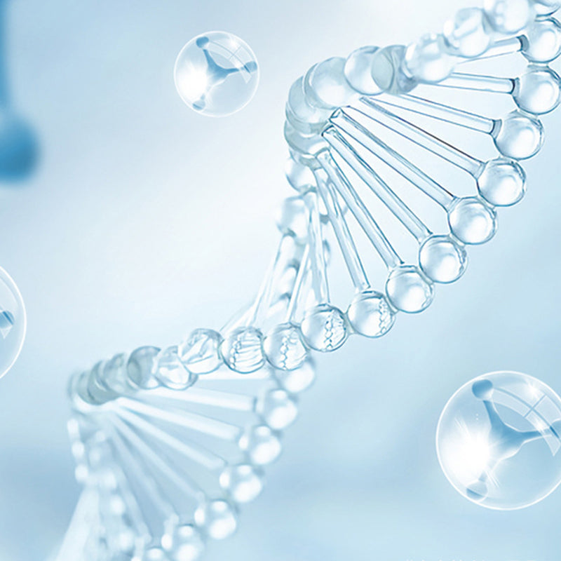 ⌛2025 New Arrivals🚽New UV Toilet Sterilization Lamp Set-Clean and Germ-Free