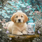 Waterless Cleansing Shampoo for Dogs & Cats
