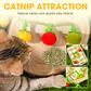 📢📢HOT SALE !!!✨Interactive Fruit-Shaped Catnip Toy String