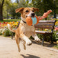 Interactive Rolling Ball Toy for Dogs