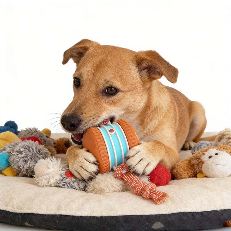 Interactive Rolling Ball Toy for Dogs