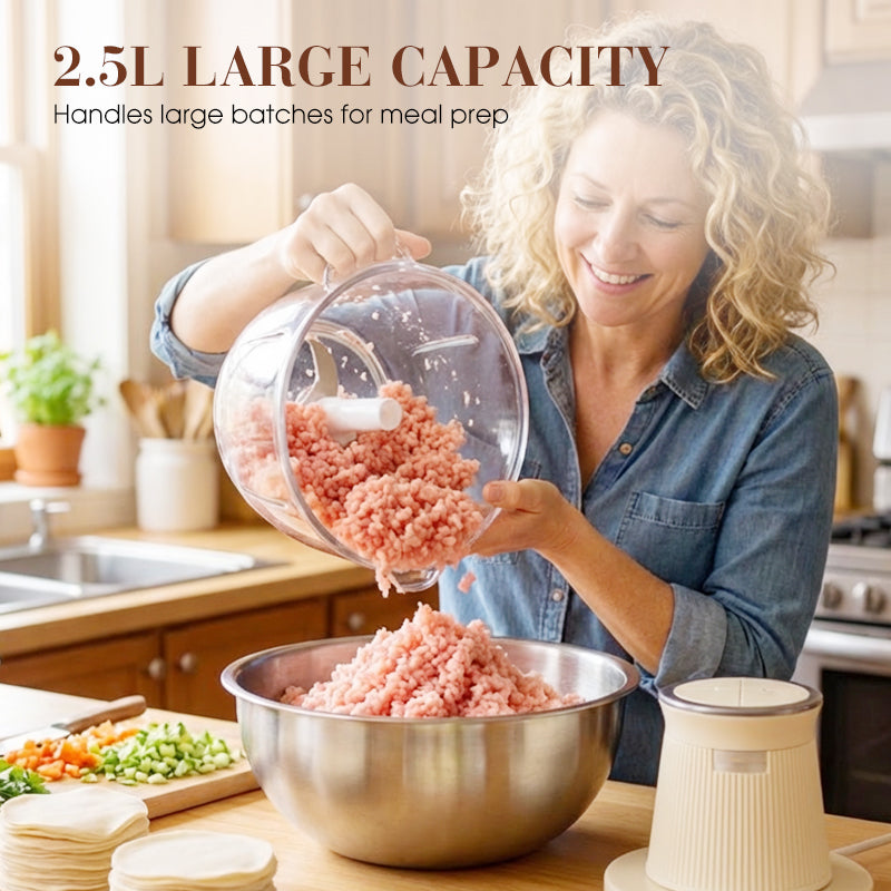 🔥Hot Sale Offers-Electric Meat Grinder with 2.5L Glass Bowl