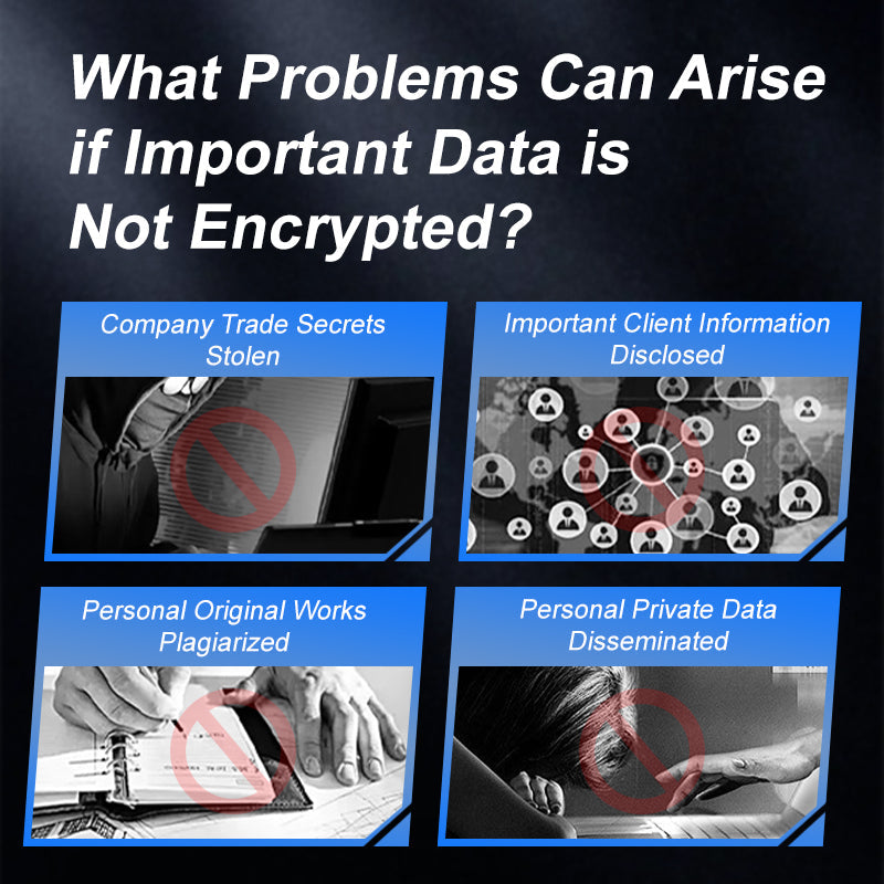 Fingerprint Encrypted Solid State Flash Drive