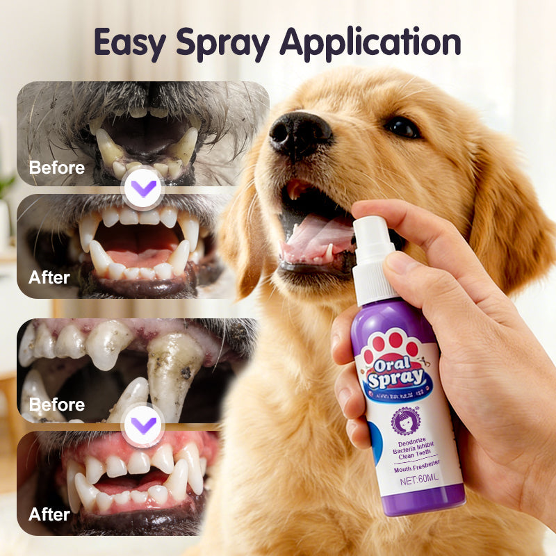 🔥2026 New Arrivals: 50% Off for a Limited Time!🔥Teeth Cleaning Spray for Pets