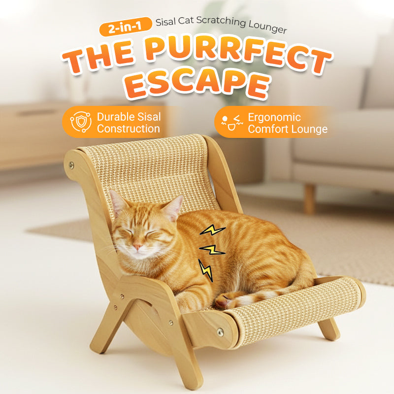✨ 2026 New Arrival | 2-in-1 Sisal Cat Scratcher Lounger | Space-Saving & Durable 🐱