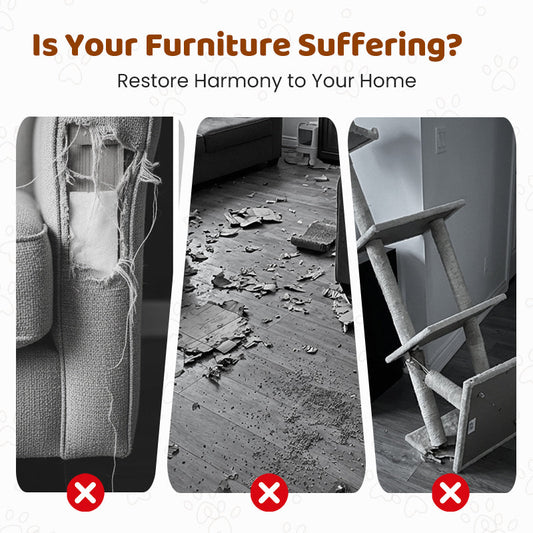 ✨ 2026 New Arrival | 2-in-1 Sisal Cat Scratcher Lounger | Space-Saving & Durable 🐱