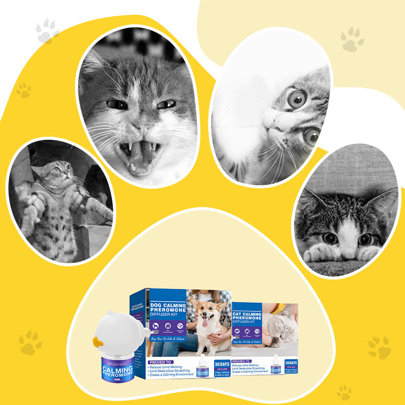 Pet Calming Pheromone Diffuser